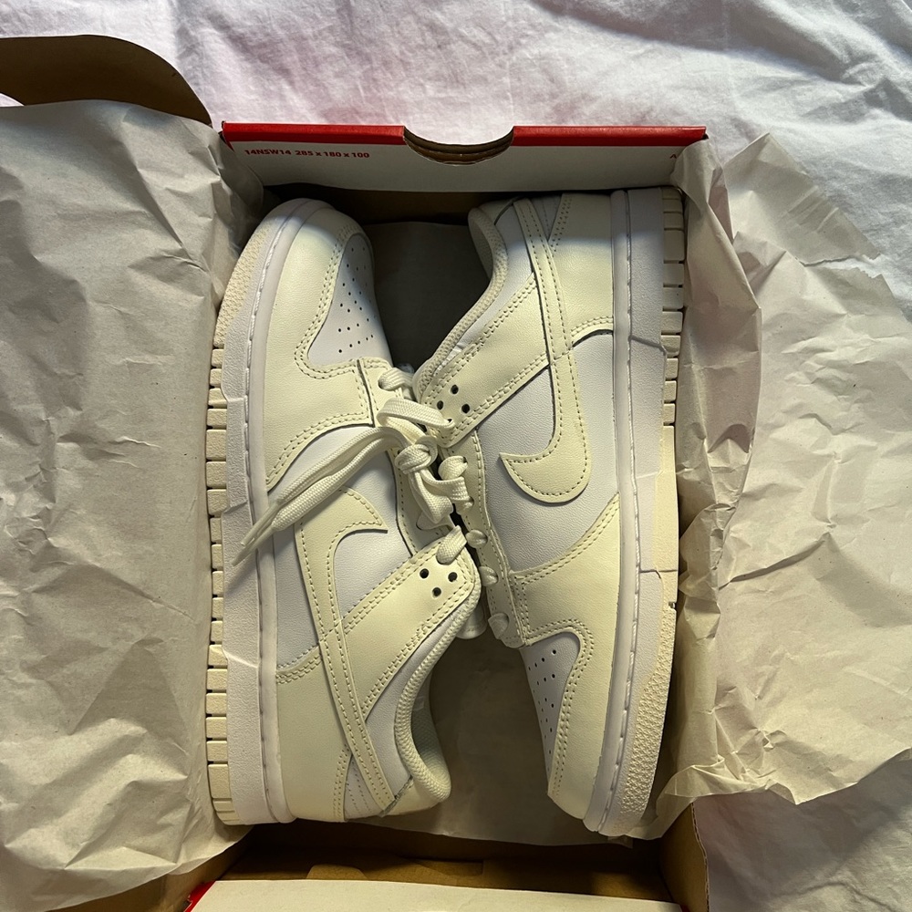 Nike Dunk Low